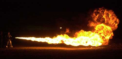 I think he is just a little mad at global warming right now...