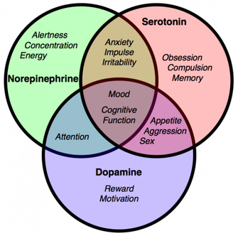 A little chart to show the purpose of serotonin and dopamine.