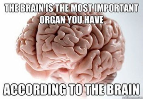 Well played brain, well played.