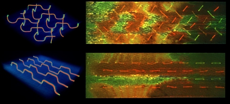 3D microvascular networks for self-healing composites: Researchers were able to achieve more effective self-healing with the herringbone vascular network (top) over a parallel design (bottom), evidenced by the increased mixing (orange-yellow) of individual healing agents (red and green) across a fracture surface. Photo Credit: University of Illinois