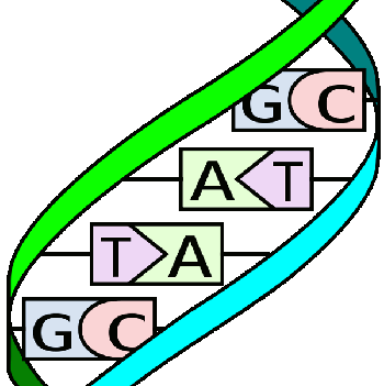 DNA_Example