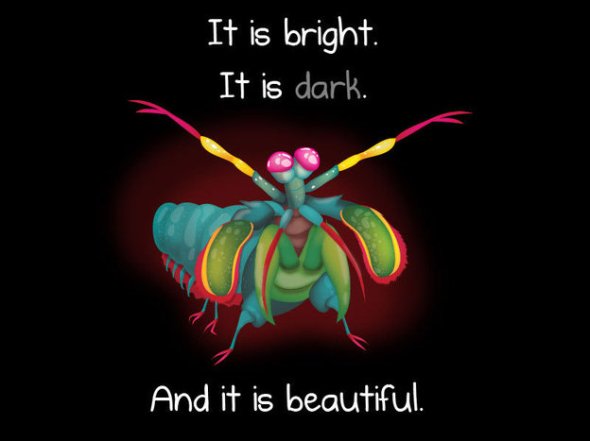 Image from a webcomic [yes there is more!] by- TheOatmeal