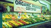 organic_produce