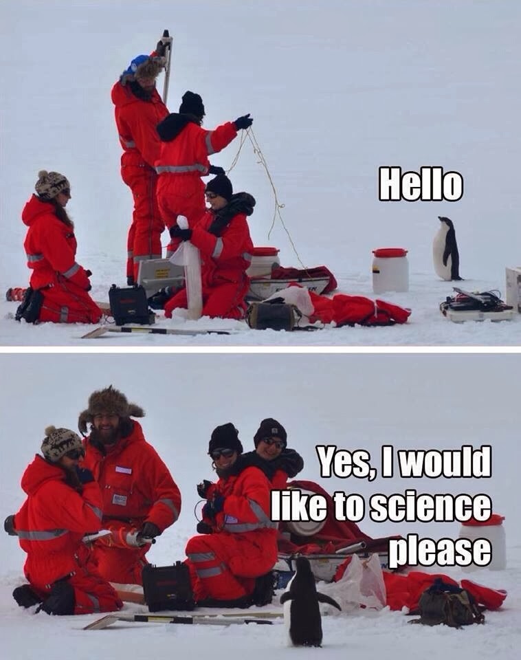 Science Sorry Dear Science, I’m so sorry… | Lunatic Laboratories