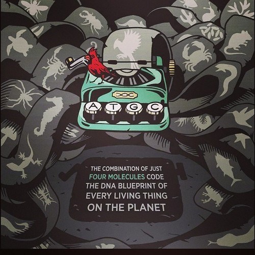 Science has added to the genetic alphabet