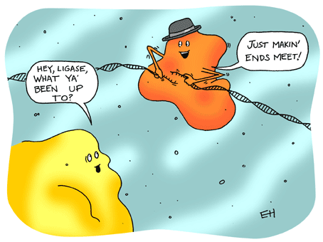 A little gene humor 