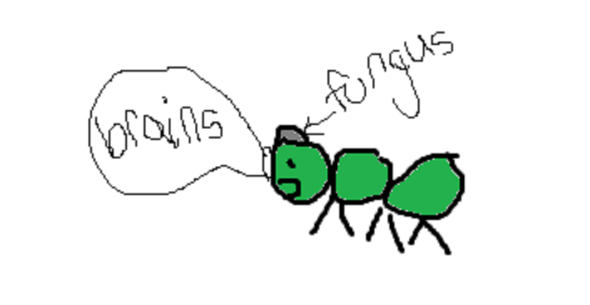 Not quite right... I know, but still funny.