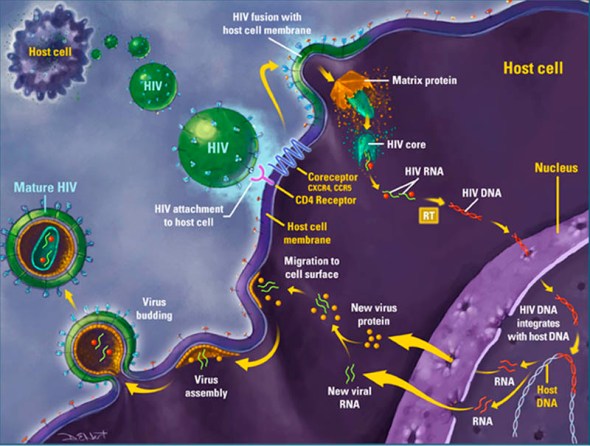 HIV