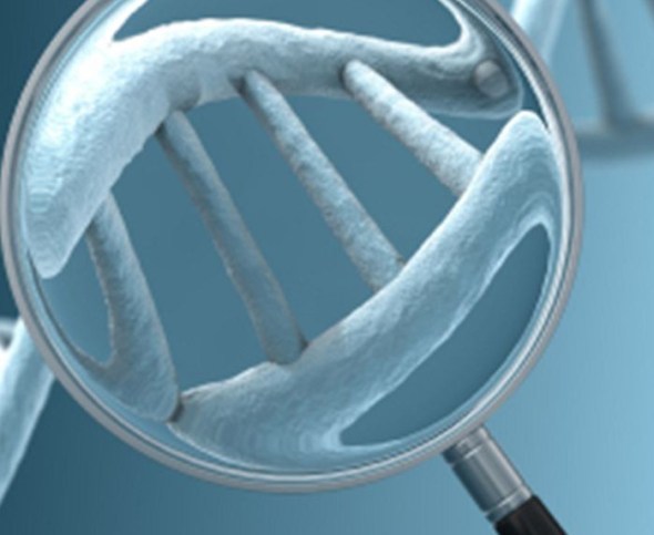 genetics