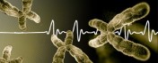 telomeres