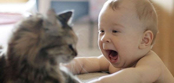 ±¦±¦ºÍ³èÎï