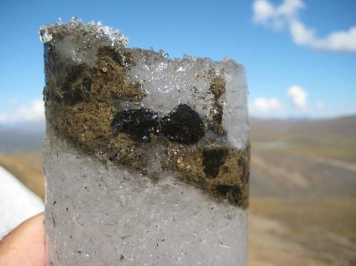 An ice core containing ancient caribou feces. For thousands of years, caribou gathered on ice patches to escape summer heat and insects. The caribou feces, which contain caribou DNA, digested plants, and viruses, were frozen within layers of ice, enabling researchers to detect the genomes of ancient viruses. Photo credit goes to: Brian Moorman