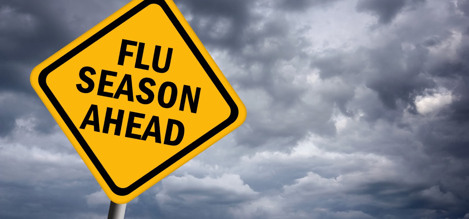 flu season ahead