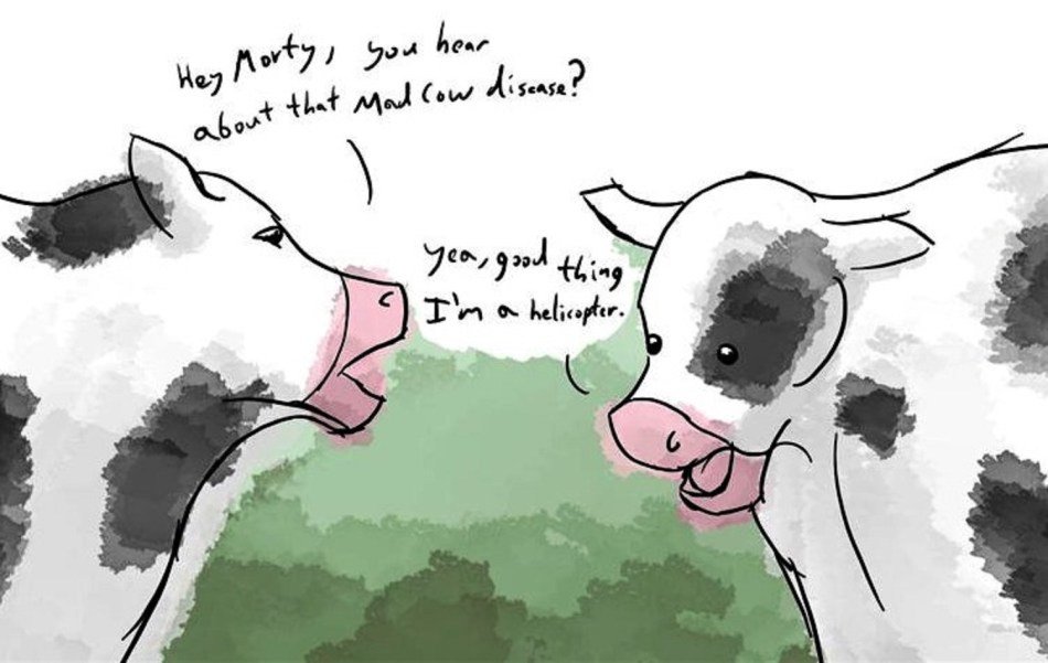 mad cow
