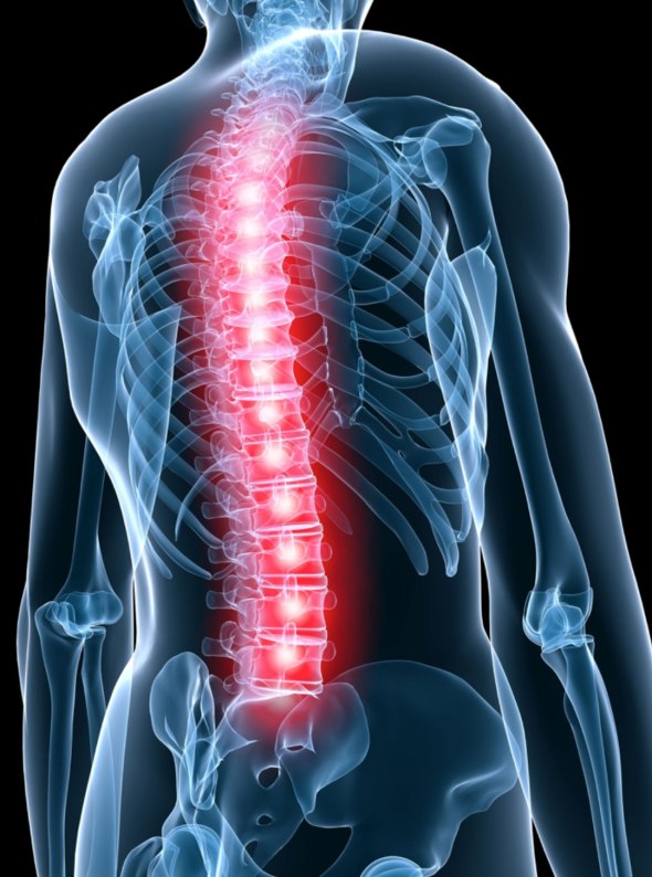spine pain