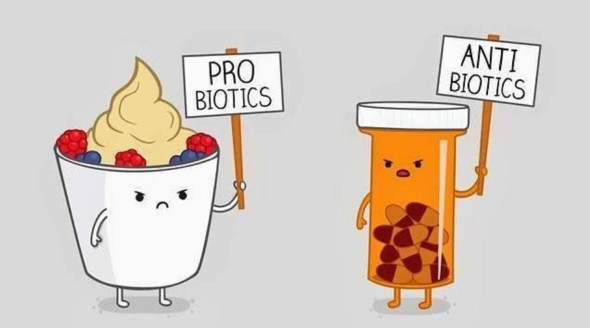 probiotics-vs-antibiotics