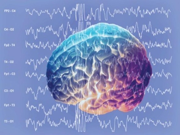 brain waves