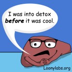 Study identifies liver-generated hormone that regulates 'sweet tooth'