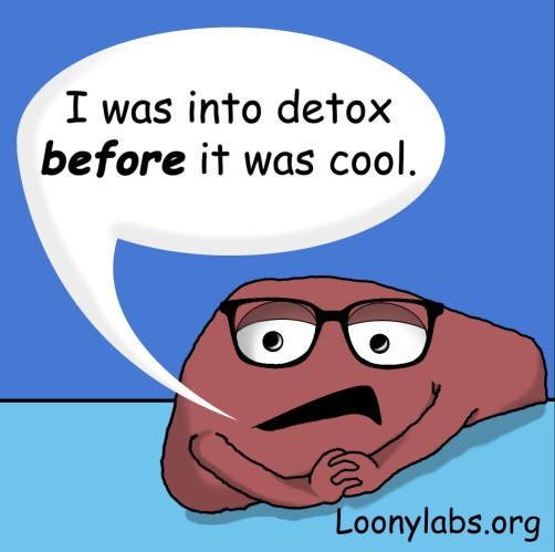 Study identifies liver-generated hormone that regulates 'sweet tooth'