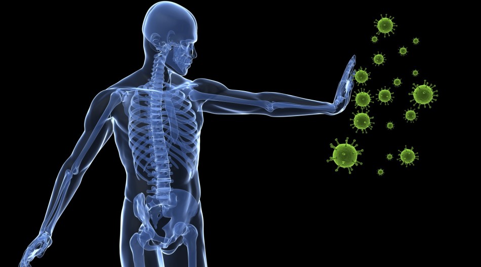 the immune system defends the body