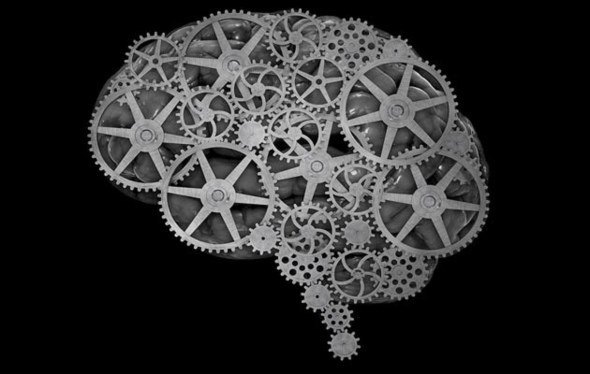 brain gears