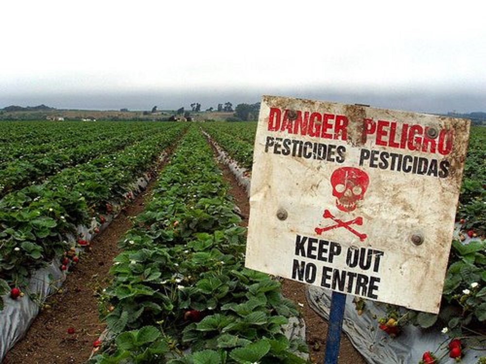 DangerPesticides