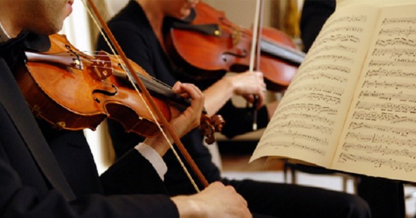 music professional musician