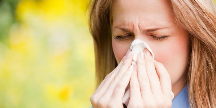 Allergies and allergy sufferers