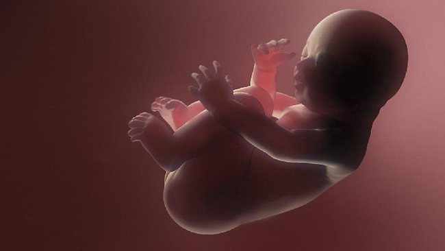 Baby in womb