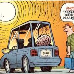 brain in the summertime