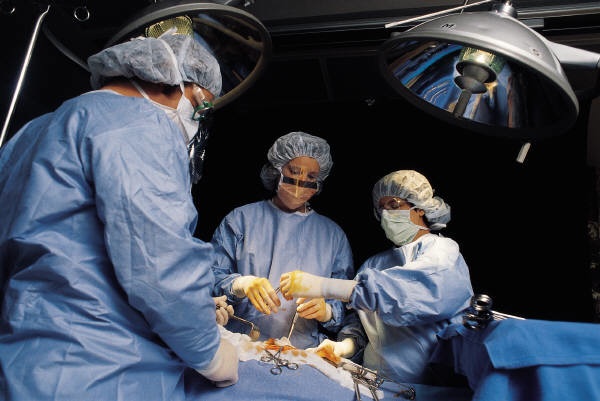 Surgeons operating  