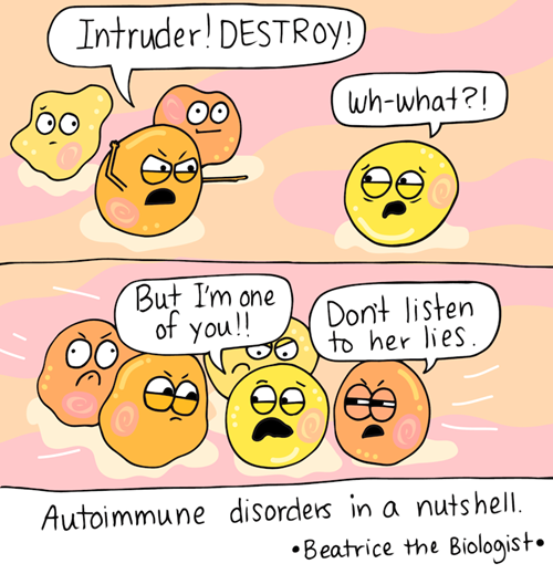 Image credit goes to: The one and only Beatrice the biologist