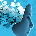 memories in the brain