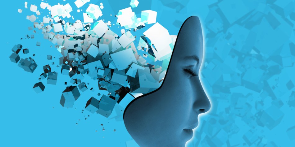 memories in the brain