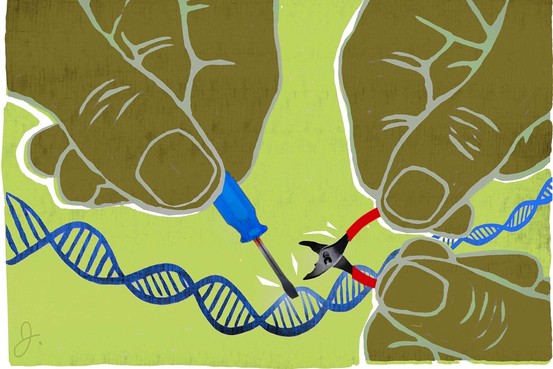 dna editing using radiation