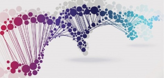 Epigenetics in the brain