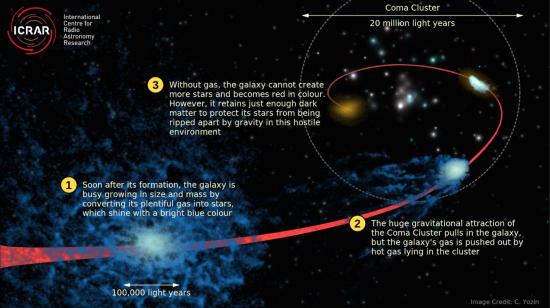 Coma Cluster