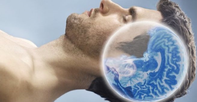 neuroscience Sleep makes our memories more accessible