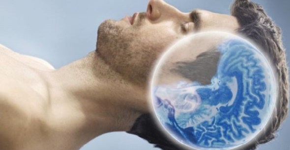 neuroscience Sleep makes our memories more accessible