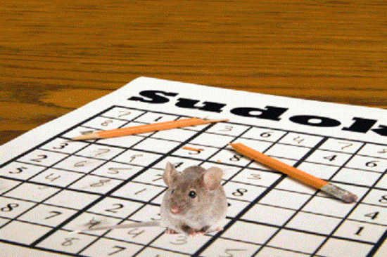 sudoku mouse