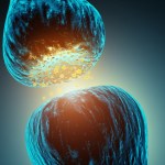 Crystal clear images uncover secrets of hormone receptors