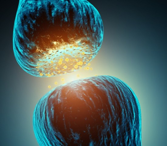 Crystal clear images uncover secrets of hormone receptors