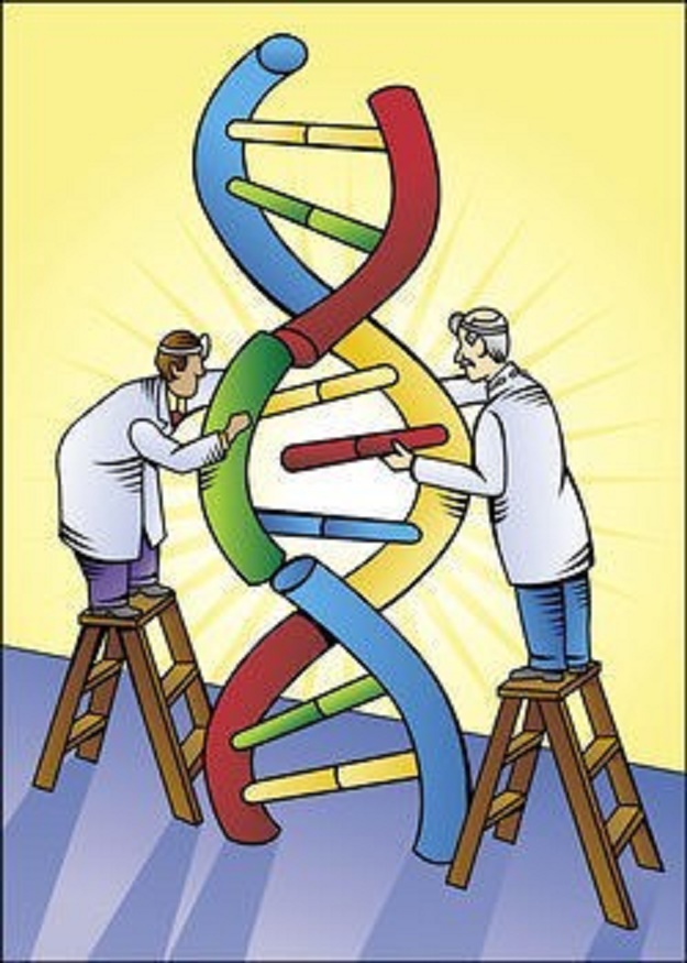 Protection against dengue disease by synthetic nucleic acid antibody prophylaxis/immunotherapy