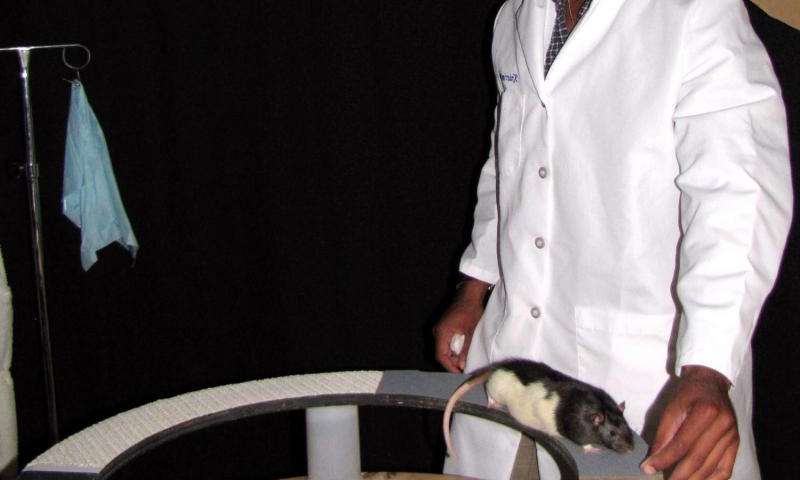 Don't I know that guy? Neuroscientists pinpoint part of the brain that deciphers memory from new experience