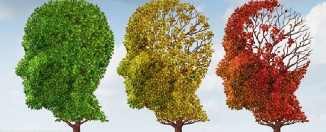 Cells from human umbilical cord blood improve cognition in Alzheimer's disease model mice