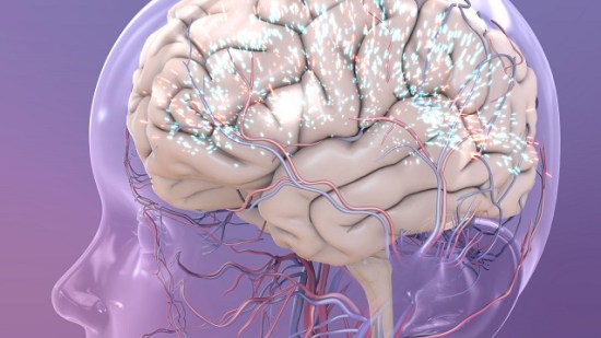 Scientists identify key receptor as potential target for treatment of autism