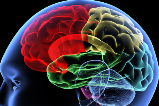 A barrier against brain stem cell aging