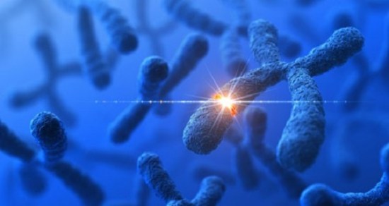 Genetic analysis supports prediction that spontaneous rare mutations cause half of autism