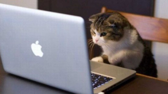 What motivates 'Facebook stalking' after a romantic breakup?