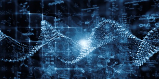 Gene therapy treats all muscles in the body in muscular dystrophy dogs